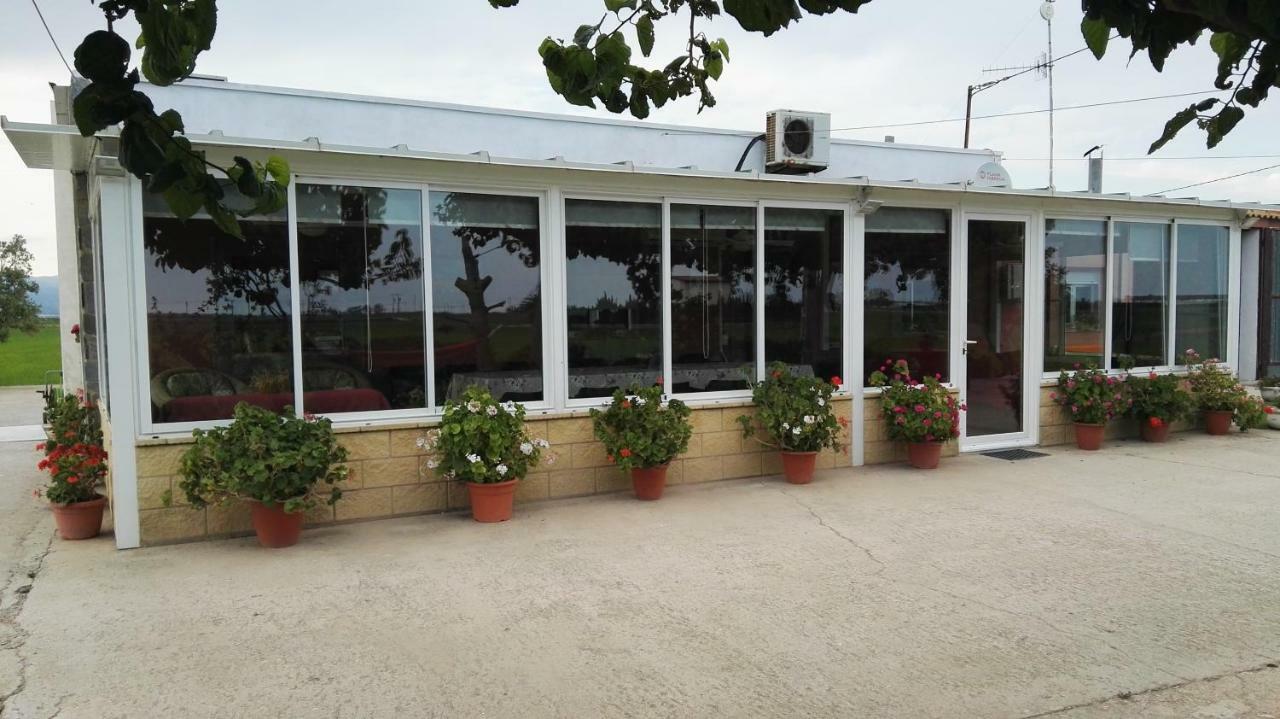Casa de Campo Mas Panoli